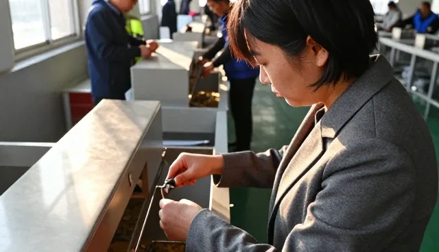 的企业在基地合作中的实际应用分析