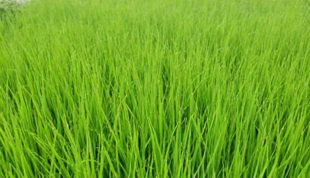 物流效率影响产品优化效果的原因分析